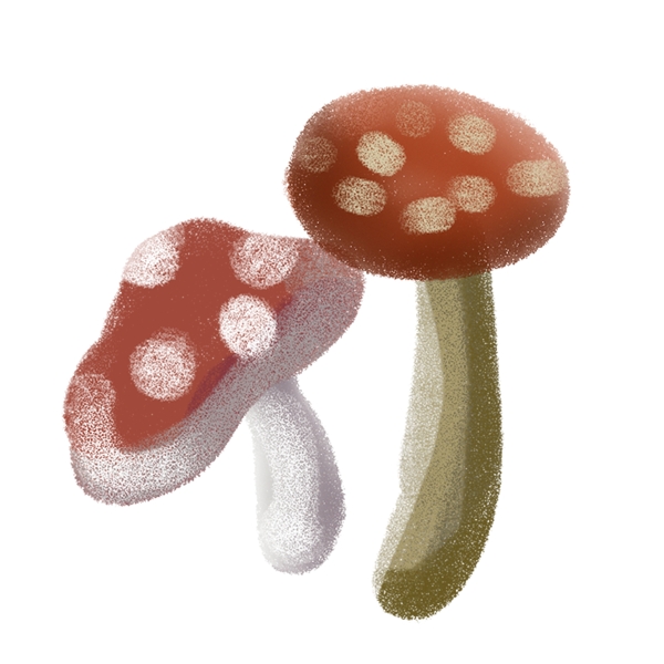 植物蘑菇装饰图案