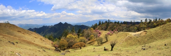 老君山国家公园高山草甸图片