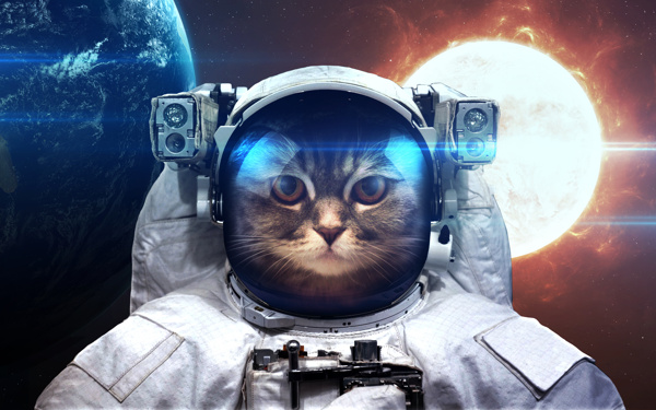 太空猫