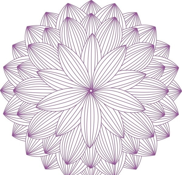团花线条紫色花瓣几何