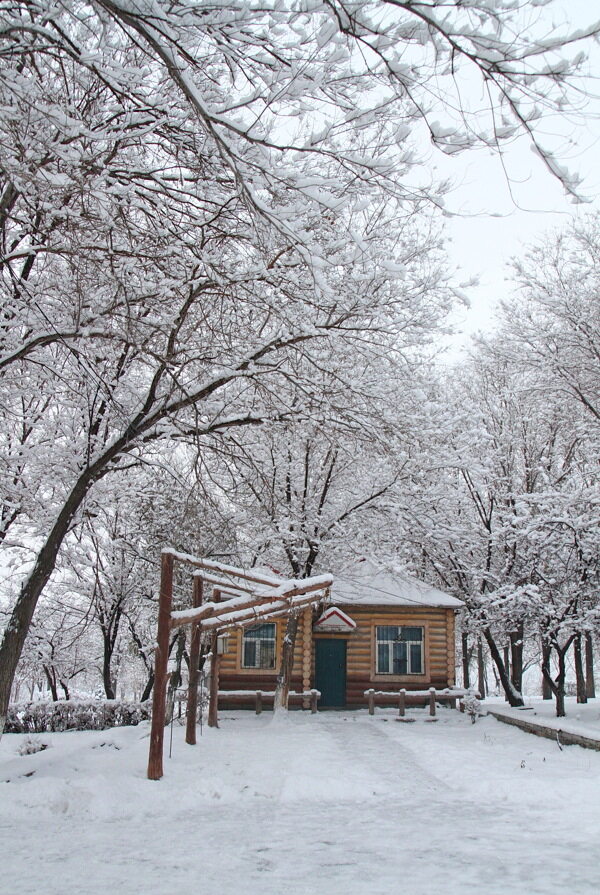 雪景图片