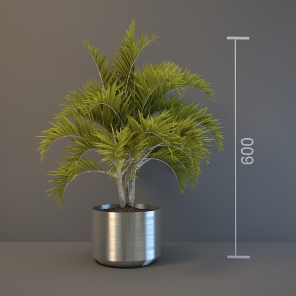 绿色植物盆栽3d模型