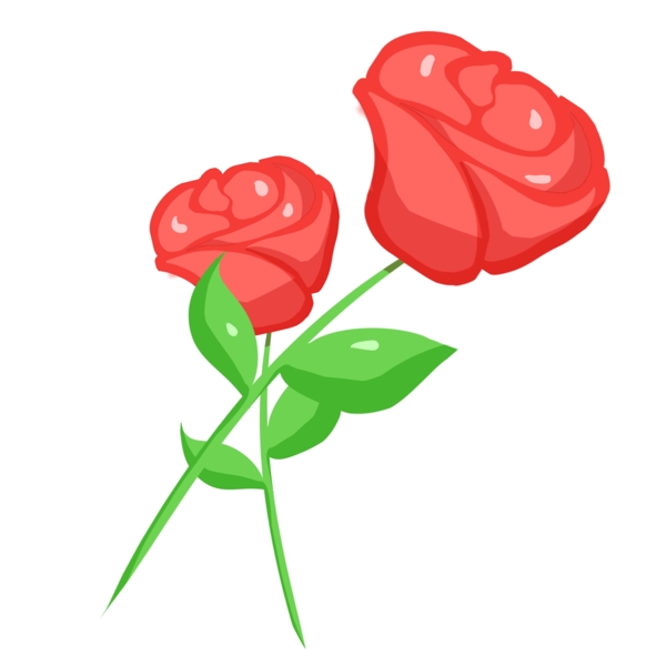 两朵红色玫瑰花插画