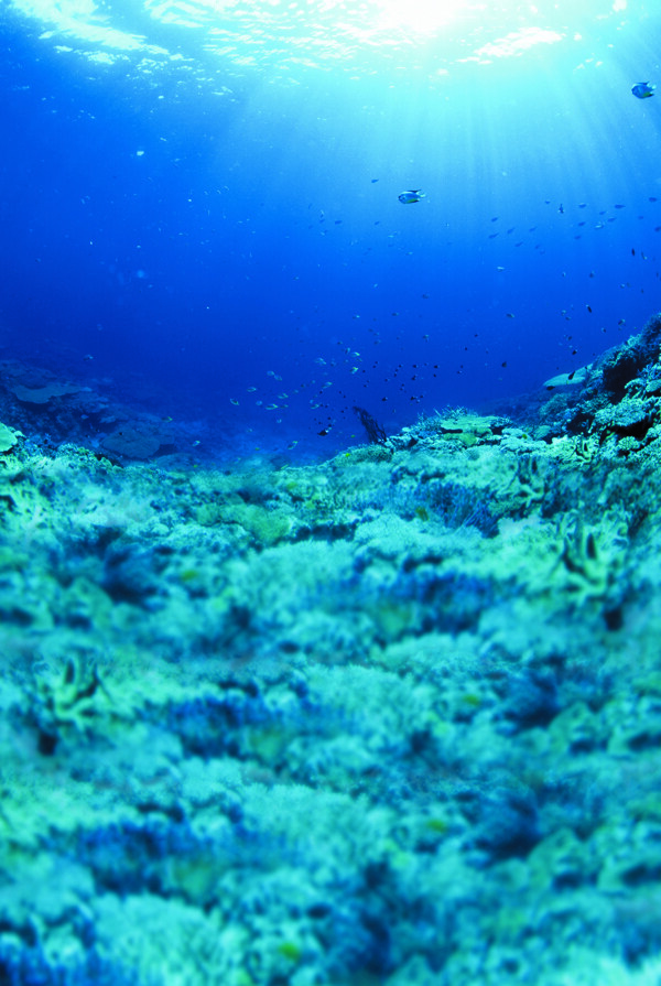 海底风景背景图