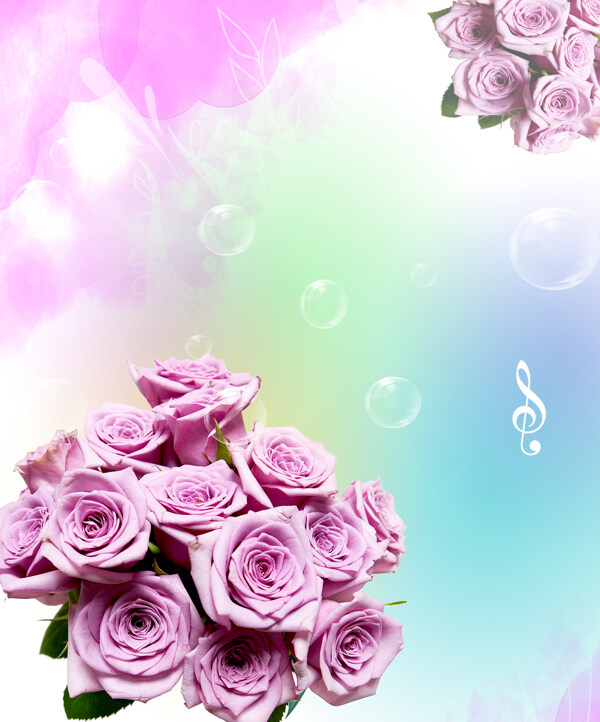 紫色梦幻玫瑰花朵效果图下载