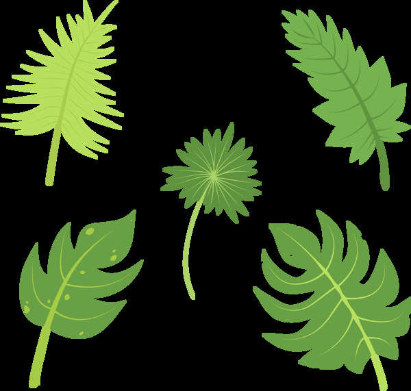 绿色叶子插画免抠png透明图层素材