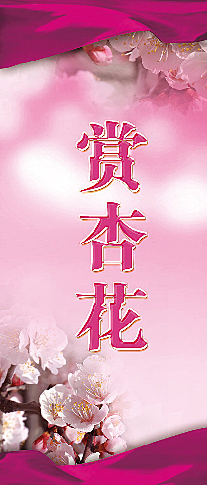 粉色杏花背景图片