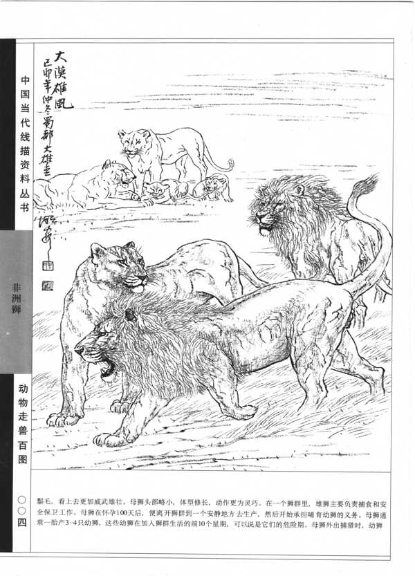 动物走兽百图13狮子图片