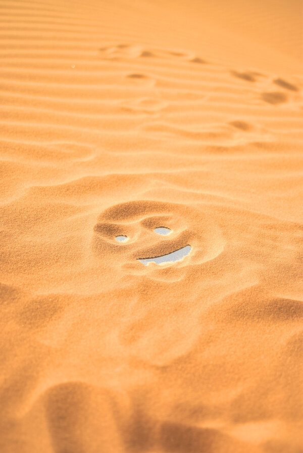 沙漠笑脸