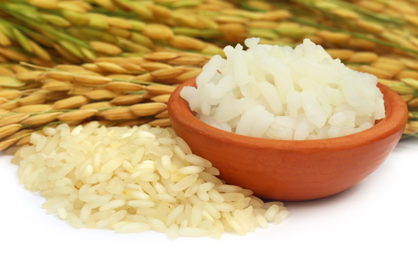 大米米饭摄影图片