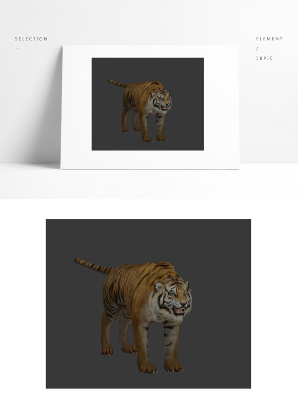 动物模型老虎带贴图