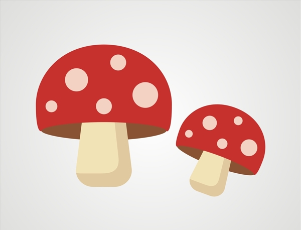 矢量蘑菇毒蘑菇图片