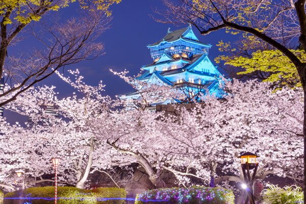 日本樱花楼阁图片