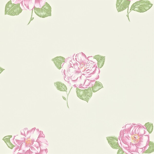 粉色花朵花纹壁纸图片