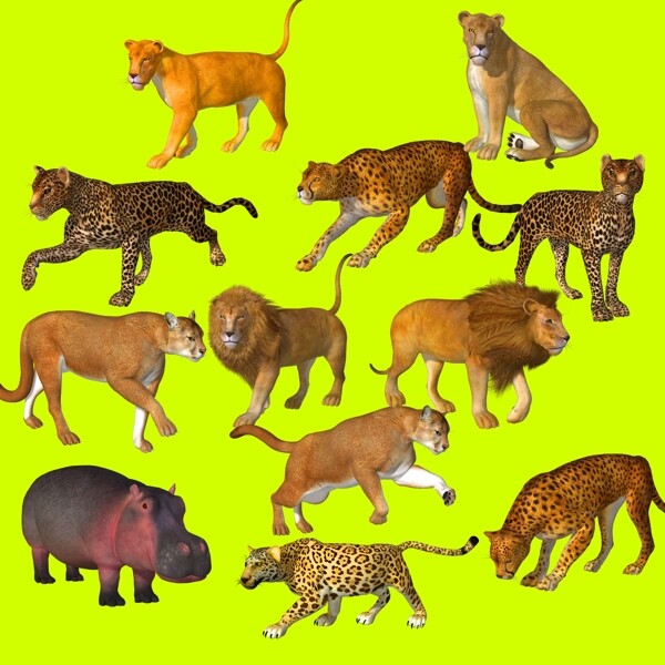 豹子狮子老虎动物免扣素材图片