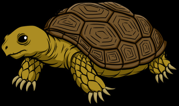 小乌龟卡通图片免抠png透明图层素材