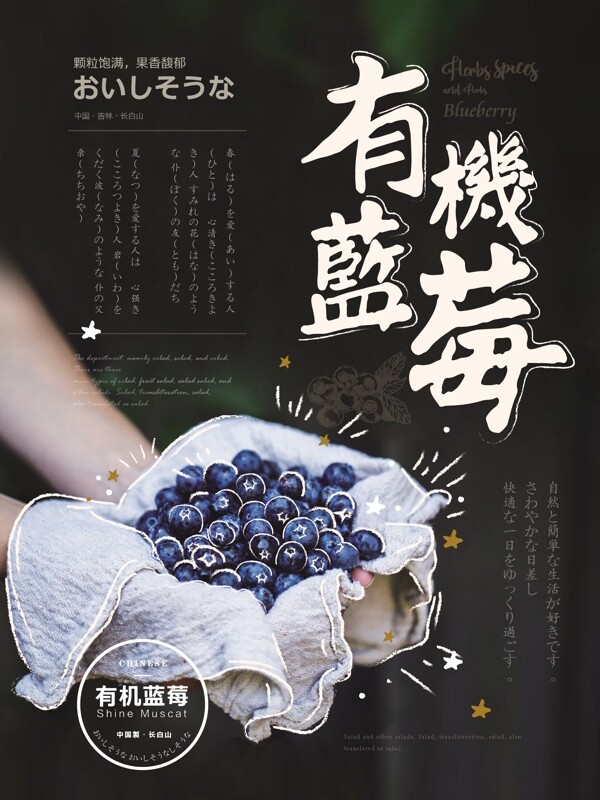 简约手绘风有机蓝莓水果海报