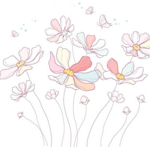 五彩波斯菊和蝴蝶插画