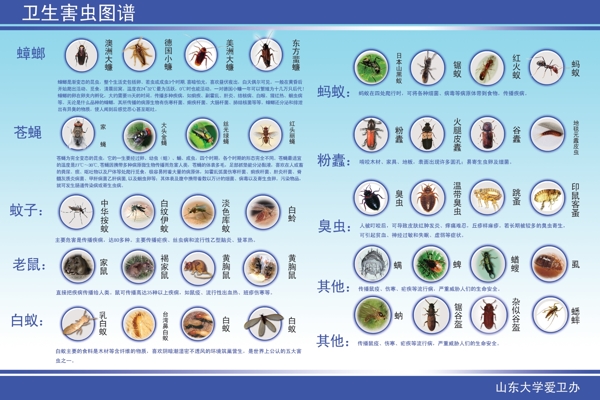 害虫图谱图片