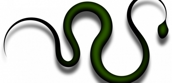 蛇的矢量绘图
