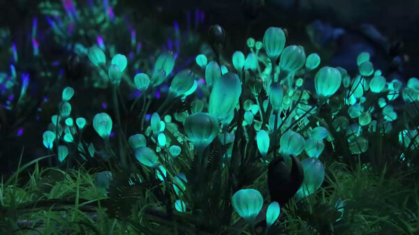 阿凡达荧光植物