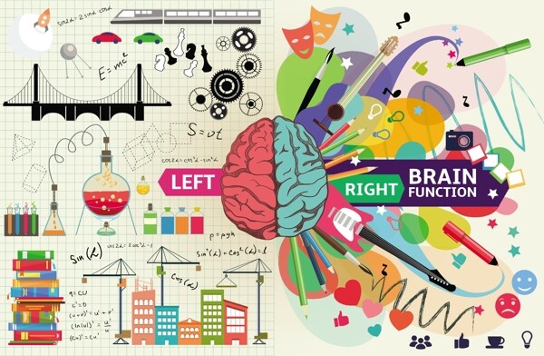 大脑信息图标