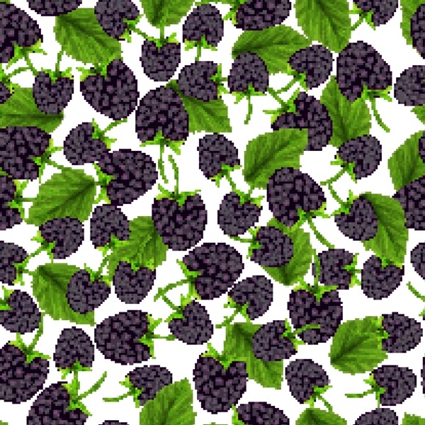 新鲜黑莓无缝背景矢量素材