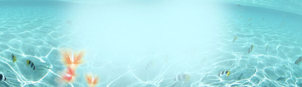 海底梦幻背景banner