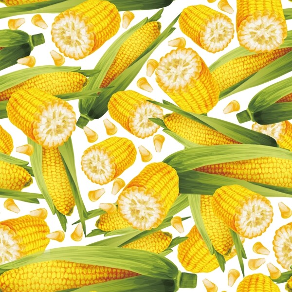玉米图案图片