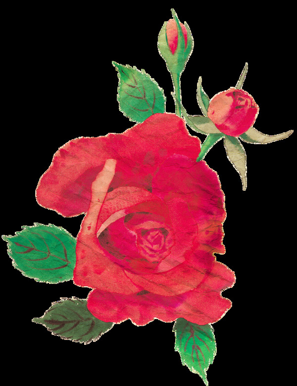 手绘红色玫瑰花图片