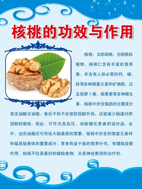 干果简介图片