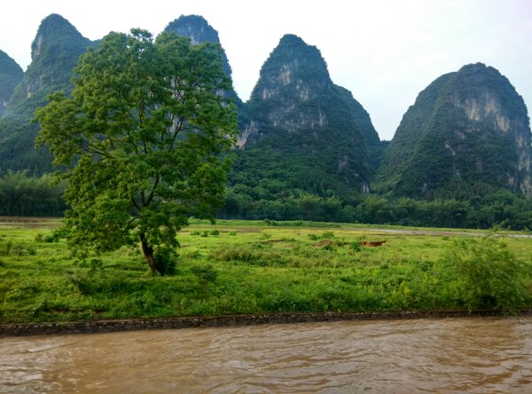 桂林群山雨后风光