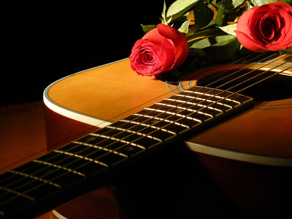 吉他上的玫瑰图片