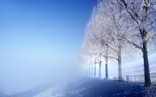 雪景图片