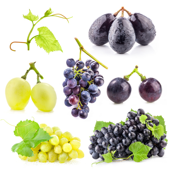收集的葡萄