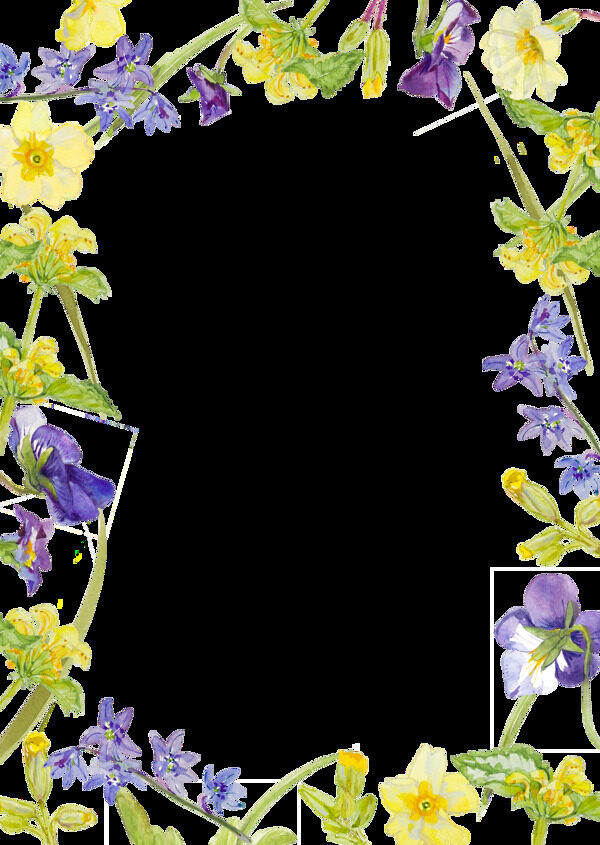 黄紫色花朵水彩手绘透明素材