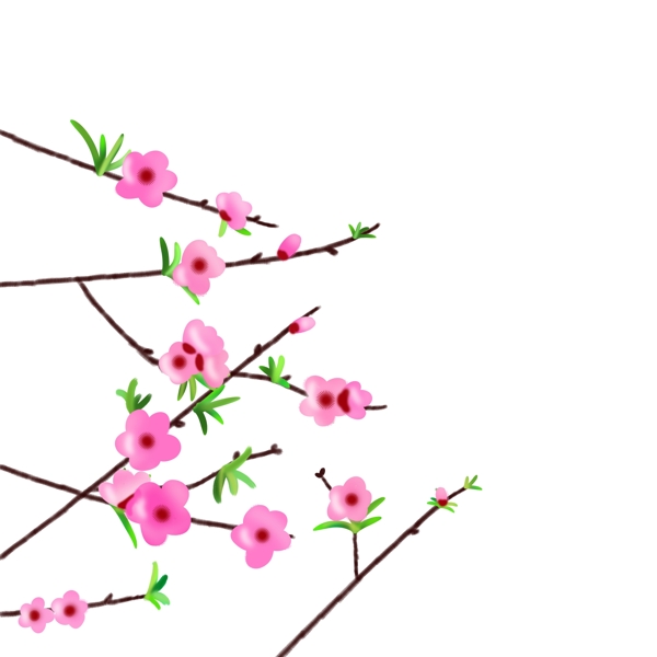 桃花桃枝条粉色春天小清新元素