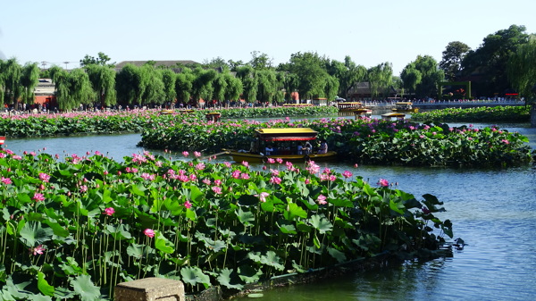 北京北海公园风景