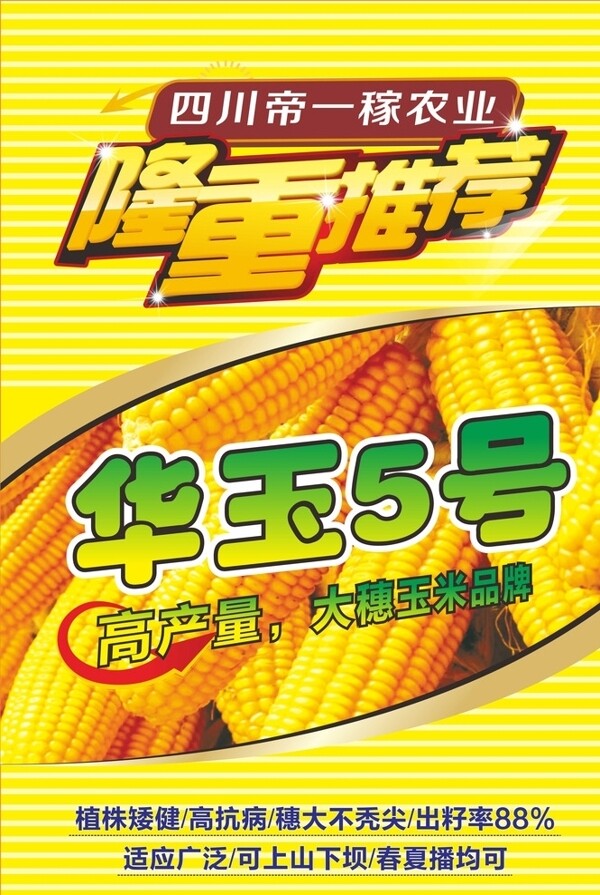 玉米种植海报