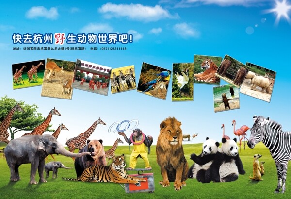 杭州野生动物园图片