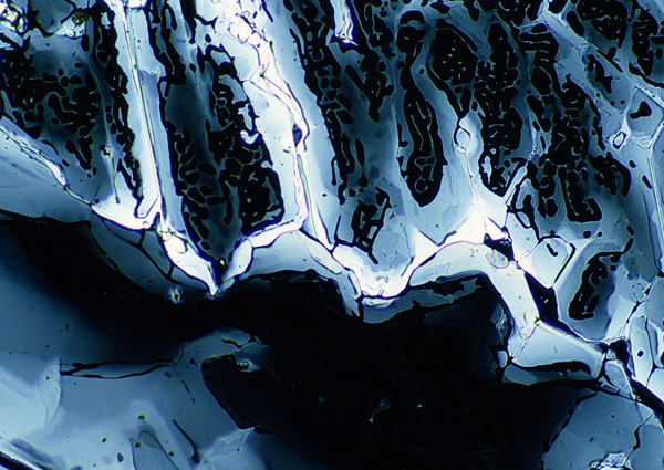 黑色怪异细胞结晶
