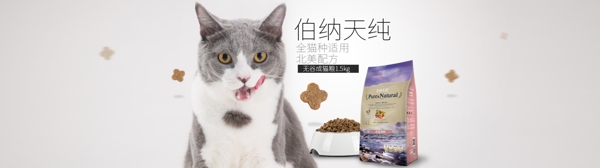 猫狗宠物粮食海报