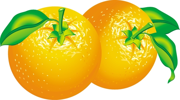 橙子矢量水果素材ai图片