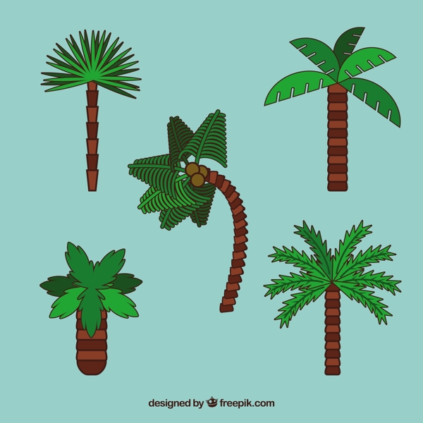 热带棕榈树平面设计