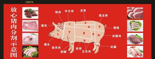 猪肉分割示意图