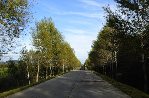 连池秋天林荫小路