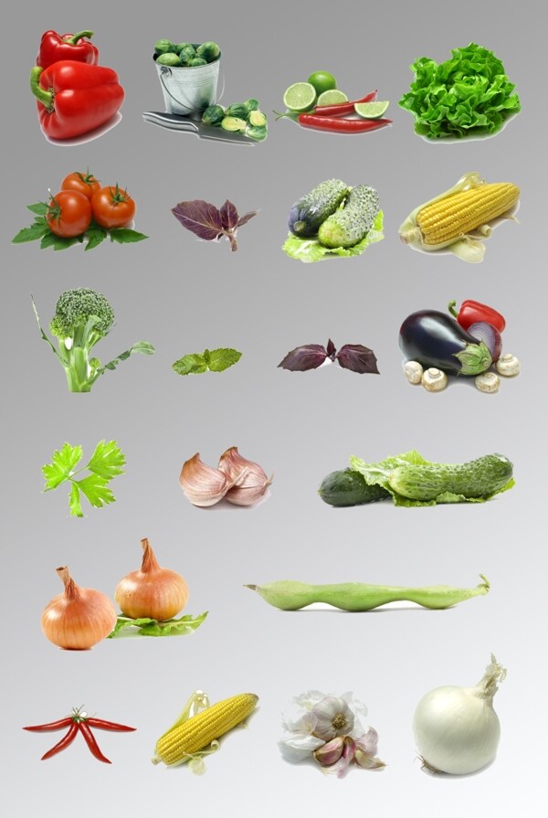 一组蔬菜写实图片