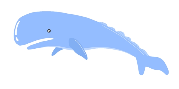 蓝色海豚生物