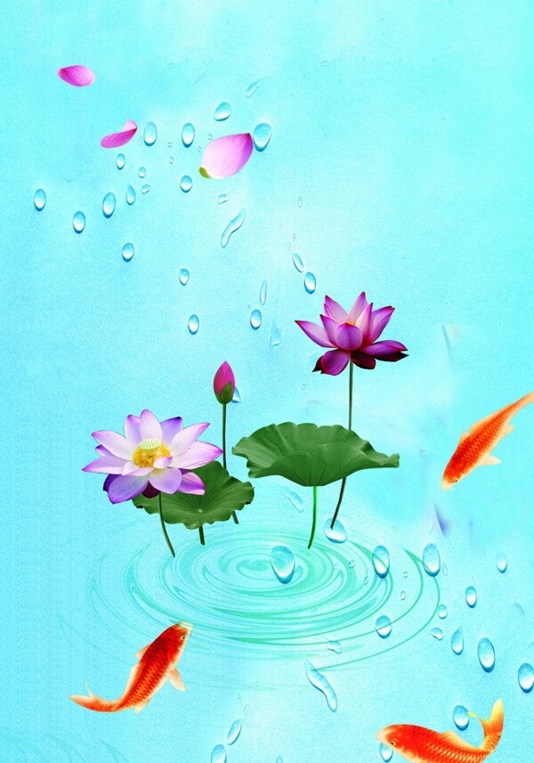 鱼戏莲花图片