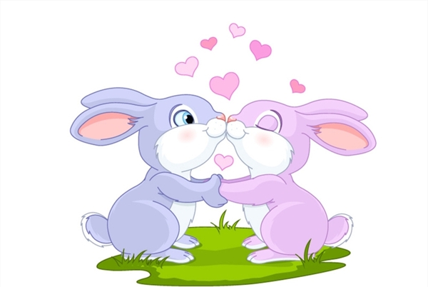 亲吻情侣兔子图片